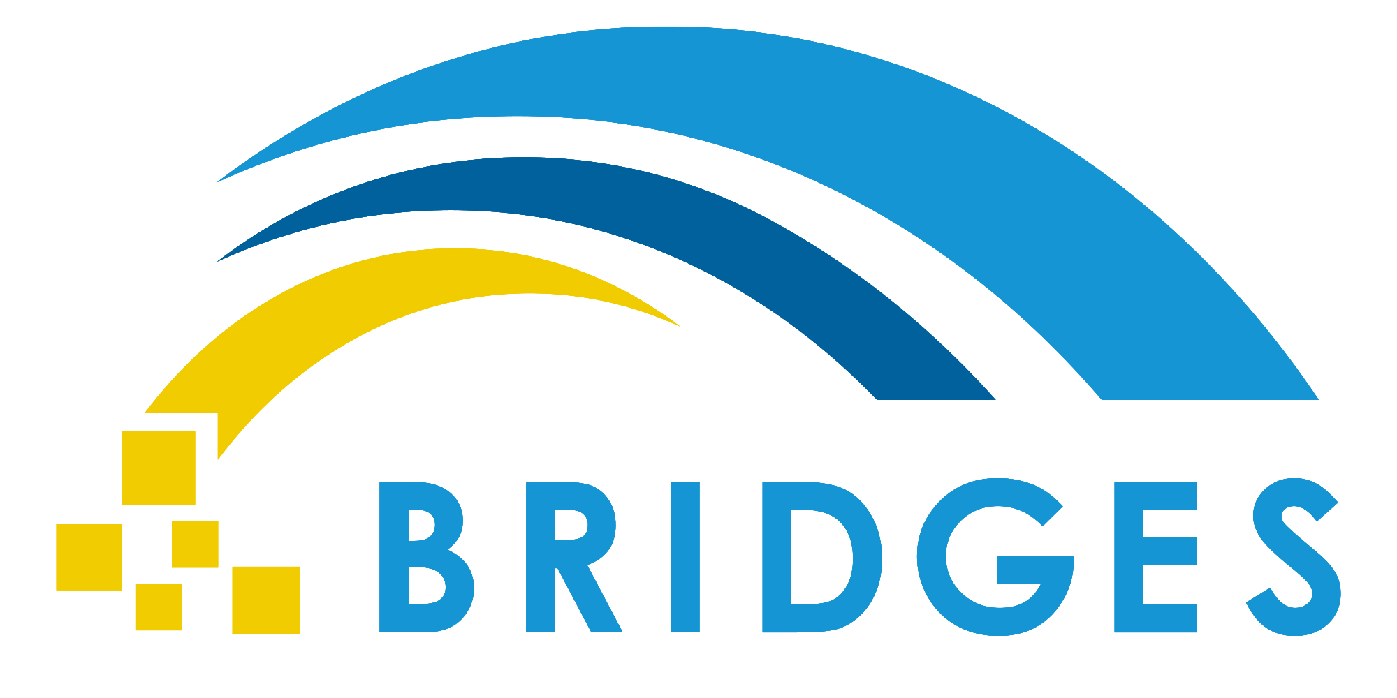 BRIDGES plan logo BRIDGES plan logo