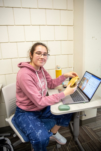 Individual seated in classroom environment in front of laptop, holding turtle.